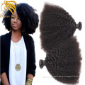 Lsy Wholesale African Afro Kinky Curly 100% Raw Human Hair for Braiding Brazilian Kinky Hair Bundles,Mongolian Afro Kinky Weacve